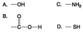<strong>Use the figures to answer the question.   Which functional group shown can pick up protons and raise the pH of the surrounding solution?</strong> A) A B) B C) C D) D <div style=padding-top: 35px> 