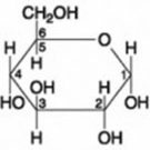 Use the following figure to answer the question.   The molecule shown is ________. A)  a hexose B)  a pentose C)  fructose D)  maltose