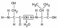 Use the following figure to answer the question.   The chemical reaction illustrated ________. A)  is a hydrolysis reaction B)  results in a peptide bond C)  joins two fatty acids together D)  links two polymers to form a monomer