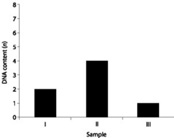 DNA was isolated from three different cell types of the same organism, the relative DNA content for each type was determined, and the results were plotted on the graph shown in the figure below. Refer to the graph to answer the following questions.    -Which sample of DNA might represent an animal cell in the G₂ phase of the cell cycle prior to meiosis? A)  I B)  II C)  III D)  both I and II
