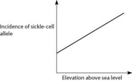 <strong>Anopheles mosquitoes, which carry the malaria parasite, cannot live above elevations of 5,900 feet. In addition, oxygen availability decreases with higher altitude. Consider a hypothetical human population that is adapted to life on the slopes of Mt. Kilimanjaro in Tanzania, a country in equatorial Africa. Mt. Kilimanjaro's base is about 2,600 feet above sea level and its peak is 19,341 feet above sea level. If the incidence of the sickle-cell allele in the population is plotted against altitude (feet above sea level), which of the following distributions is most likely, assuming little migration of people up or down the mountain?</strong> A) B) C) D)