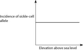 <strong>Anopheles mosquitoes, which carry the malaria parasite, cannot live above elevations of 5,900 feet. In addition, oxygen availability decreases with higher altitude. Consider a hypothetical human population that is adapted to life on the slopes of Mt. Kilimanjaro in Tanzania, a country in equatorial Africa. Mt. Kilimanjaro's base is about 2,600 feet above sea level and its peak is 19,341 feet above sea level. If the incidence of the sickle-cell allele in the population is plotted against altitude (feet above sea level), which of the following distributions is most likely, assuming little migration of people up or down the mountain?</strong> A) B) C) D)