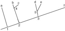 The following phylogeny shows six living species (a-f) and five ancestral (now extinct) species (#1-5) . If the phylogeny had been developed on the basis of similarities in bone structure, which of the following predictions would you make in terms of the structure of a particular enzyme?   A)  The enzymes of species b and f are very similar. B)  The enzymes of species b and c are more similar to ancestor #4 than to ancestor 2 C)  The enzymes of species a and b are the same as that of ancestor #2. D)  The enzyme of species c is very similar to that of species d.