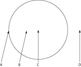 Use the information to answer the following question. The figure depicts the outline of a large fairy ring that has appeared overnight in an open meadow, as viewed from above. The fairy ring represents the furthest advance of this mycelium through the soil. Locations A-D are all 0.5 meters below the soil surface.   If the fungus that produced the fairy ring can also produce arbuscules, then which of the following is most likely to be buried at location  C ? A)  tree stump B)  deceased animal C)  fire pit D)  cement-capped well
