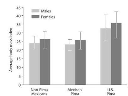   The Pimas are a group of people living in the southwestern United States and Mexico. Although Pima Indians living in the United States and Mexico have a similar genetic background, a five-fold increase in the incidence of type II diabetes mellitus among U.S. Pima has been reported. The body mass index of Mexicans of non-Pima descent, Mexicans of Pima descent, and Pimas living in the United States is shown in the figure. Based on this information and the graph, what can you infer about the incidence of type II diabetes mellitus? A)  Obesity is a risk factor for development of type II diabetes mellitus. B)  If you maintain a normal body weight (body mass index less than 25) , you will not get type II diabetes mellitus. C)  The incidence of type II diabetes mellitus has increased in the past ten years. D)  People who develop type II diabetes mellitus are typically diagnosed in childhood or adolescence.