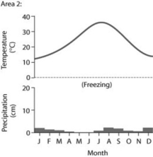 Use the following figures to answer the question below.     Based on the data in the figures, which of the following statements are correct? I.Area 1 would be considered a desert because of its high average temperature. II.Area 1 has more average precipitation than Area 2. III.Area 2 would be considered a desert because of its low average precipitation. IV.Area 2 has a larger annual temperature variation. A)  only I and III B)  only II and IV C)  only I, II, and IV D)  only II, III, and IV 