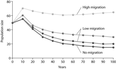 Use the graph to answer the following question.   Looking at the figure, what factor is contributing significantly to stabilizing the population size over time? I.no migration II.low migration III.high migration A)  only I B)  only II C)  only III D)  only II and III 