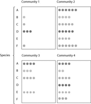 Use the figure to answer the following question.   In the figure, imagine that community 4 represents a marine community off the coast of Florida, where overfishing of a particular trophy fish (imagine a species G) for two decades gradually shifted it to resemble community 3. The species that was overfished was likely A)  an invasive species B)  a keystone species C)  a primary producer D)  species A, B, C, E, and F