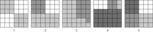 Use the figures to answer the following question.   According to the Shannon Diversity Index, which of the five blocks above, with each containing 36 squares, would show the greatest diversity? The different shades represent different species, and more squares of a shade represent higher abundance. A)  1 B)  2 C)  4 D)  5