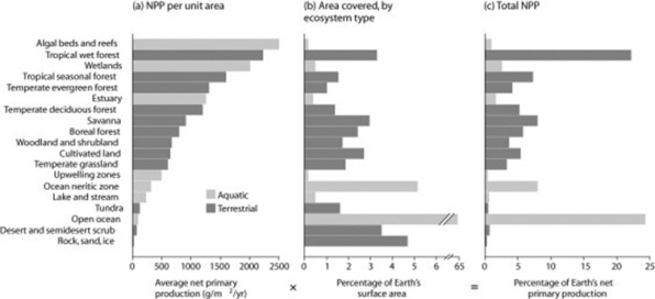 Use the following figure to answer the question.   Considering its total area covered, which ecosystem type represented in the figure has a very low level of economic impact on Earth's ecosystem? A)  tropical wet forest B)  rock, sand, and ice C)  tropical seasonal forest D)  ocean neritic zone
