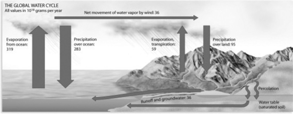Use the following figure to answer the question.   Consider the global water cycle depicted in the figure. Where is the greatest flux of water from one reserve to another? A)  from precipitation to the ocean B)  from the ocean to the atmosphere C)  from runoff in streams and the water table to the ocean D)  from evaporation and transpiration of terrestrial vegetation to the atmosphere