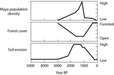 Use the graphs to answer the question.   Archeological, fossil, and geological data provide information on the Mayan populations and their environment in Mexico, in the Caribbean state of Yucatán. The graphs depict population size, percentage of the land that was forested, and the amount of soil erosion. Based on the figure, what can you conclude about the history of land use in the southern Yucatán? A)  Massive soil erosion caused the Mayan population to crash. B)  Reduction in forest cover caused the Mayan population to crash. C)  As Mayan population increased, deforestation increased, probably leading to increased soil erosion. D)  This Mayan population practiced sustainable development.