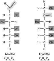 Examine the two sugars in the following figure.How do these two sugars compare?   A)  Glucose has more hydrogen. B)  Glucose has more double bonds. C)  They have the same formula but different structures. D)  They are structurally identical in every way.
