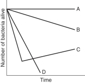 <strong>Read the following scenario to answer the following questions. Different species of bacteria are resistant to different types of antibiotics. For example, one species of bacteria may be resistant to an antibiotic that targets bacterial ribosomes but may not be resistant to a different antibiotic that targets bacterial cell walls. In order to figure out what type of antibiotic(s) to which a species of bacteria was resistant, a researcher treated the bacteria with four different antibiotics (A, B, C, and D) and measured how many bacteria were alive over the course of a few weeks. The data that she collected are summarized below. Why do you think the bacteria start to decline when treated with antibiotic C but then begin to grow as time goes on?</strong> A) Some bacteria with resistance to antibiotic C were selected for over time. B) Additional bacteria were added to the experimental group. C) Antibiotic C degraded and thus was no longer effective. D) This is the normal course of bacterial growth no matter which antibiotic is applied.