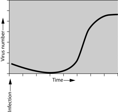 <strong>Scenario Questions Please read the following scenario to answer the following questions If you were asked to study the pattern of bacterial growth (increase in numbers over time) during an infection, you would find that numbers of bacteria increase exponentially up to a certain point. Assume that you have been asked to interpret the growth of bacteriophages. You infect the host bacteria and measure the increase of phages over a defined period of time. You plot the results and get the graph shown here. At what point on the graph are the viruses increasing in number the fastest?</strong> A) A B) B C) C D) D