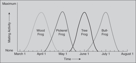 <strong>Read the following scenario to answer the following questions. As part of a semester-long biology field research course, you are studying reproductive barriers among four different frog species. Your goal is to determine what type of reproductive barrier likely causes the gene pools of the four different frog species to be isolated. These four species share common geographic habitats and are both anatomically and gametically compatible. Your research professor gives you the following figure to consider. After studying the figure, answer the questions that follow. If the researchers of this study wanted to collect reliable data about natural behavior,which methodology should they choose?</strong> A) The researchers collected multiple male and female frogs from each species and studied them in a lab environment to determine their normal breeding seasons. B) The researchers studied multiple male and female frogs from each species in their natural environments to determine their normal breeding seasons. C) The researchers collected multiple male and female frogs from each species, mixed males and females from each species, and studied the mixed pairs in a lab environment to determine their normal breeding seasons. D) The researchers studied one male and female frog from each species in their natural environments to determine their normal breeding seasons.