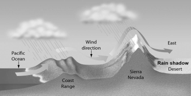 Examine the figure below.Globally,the largest amount of water moves from ________.   A)  the oceans to the atmosphere by evaporation B)  land to the atmosphere by evaporation and transpiration C)  the atmosphere to land by precipitation D)  land to the oceans by surface and groundwater runoff