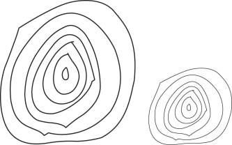 Please refer to the following art of the cross-sections of two trees to answer the following questions.    -Which statement CORRECTLY compares the growth of these two trees? A)  The two trees grew at the same rate. B)  The tree on the left grew at a slower rate than the tree on the right. C)  The tree on the left grew at a faster rate than the tree on the right. D)  The growth of the two trees cannot be compared with the images shown.