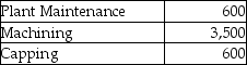 Use the information below to answer the following question(s) .The owner of Hi-Tech Fiberglass Fabricators Inc.is interested in using the reciprocal allocation method.The following data from operations were collected for analysis.Budgeted manufacturing overhead costs:    Service furnished: By Plant Maintenance (budgeted labour hours)     By Data Processing (budgeted computer time)     -Which method allows for partial recognition of the services rendered by support departments to other support departments? A) the direct allocation method B) the single-step allocation method C) the reciprocal allocation method D) the dual-rate method E) the step-down allocation method