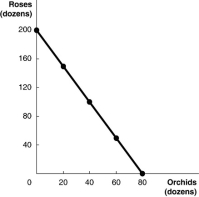 Figure 2.6     Figure 2.6 above shows the production possibility frontier for Vidalia, a nation that produces two goods, roses and orchids. -Refer to Figure 2.6. Suppose Vidalia is currently producing 60 dozen orchids per period. How many roses is it also producing, assuming that resources are fully utilised? A) 40 dozen roses B) 50 dozen roses C) 60 dozen roses D) 100 dozen roses