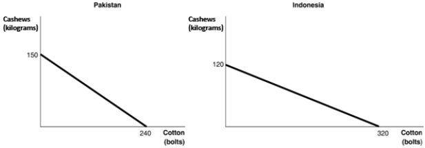 Figure 2.7     Figure 2.7 shows the production possibility frontiers for Pakistan and Indonesia. Each country produces two goods, cotton and cashews. -Refer to Figure 2.7. If the two countries have the same amount of resources and the same technological knowledge, which country has an absolute advantage in the production of cotton? A) Indonesia B) They have the same advantage. C) Pakistan D) cannot be determined