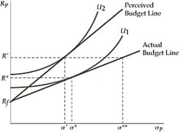   Figure 19.3.1 -Refer to Figure 19.3.1 above. In equilibrium on the perceived budget line, the investor: A)  reduces the purchase of stocks, but also reduces the risk in her portfolio. B)  reduces the purchase of stocks, but increases the risk in her portfolio. C)  makes the fraction of stocks in her portfolio larger than is optimal. D)  maintains the same fraction of stocks in her portfolio but reduces perceived risk.