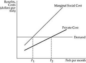   Figure 18.5.1 -Common property rights: A)  increase efficiency over individual property rights. B)  enable the Coase theorem to work. C)  are responsible for the increasing success of preservation of African elephants. D)  are responsible for the increasing success of preservation of worldwide fishing resources. E)  result in faster depletion of resources than do individual property rights.