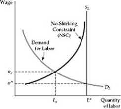   Figure 17.6.1 -The  no shirking constraint  (NSC)  curve is: A)  downward-sloping to reflect the fact that at higher wages, firms will monitor workers more to see whether they are shirking. B)  downward-sloping to reflect the fact that shirking tends to be higher in lower-paying industries. C)  upward-sloping because at high levels of unemployment, workers will refrain from slacking without much other incentive. D)  upward-sloping because at high levels of employment, many  slacking  individuals have been hired. E)  vertical because the constraint represents the absolute amount of time a firm will tolerate workers' slacking without laying them off.