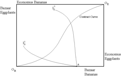 Refer to the diagram below to answer this question.   The Edgeworth box diagram above reflects preferences and availability of goods on the two planets Bazaar and Economus. Bananas are only produced on the planet Bazaar while Eggplants are only produced on Economus. Due to the inability to transport goods between the two planets, the current consumption is indicated by point A. What is true about consumers' willingness-to-pay for Eggplants on Bazaar versus the planet Economus? Suppose that due to technological advances on both planets, the two planets may trade costlessly. What is likely to happen? Indicate the changes in the diagram above. Do the planets benefit by trading?