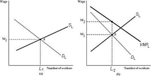   Figure 14.2.1 -Refer to Figure 14.2.1 above. The value of marginal product (VMP<sub>L</sub>) , or value of a marginal worker equals the wage rate, A)  in panel (a) . B)  in panel (b) . C)  in both panels. D)  in neither panel.