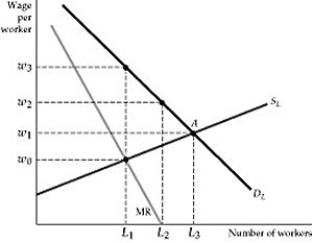   Figure 14.4.1 A labor union is exercising monopoly power in the labor market. -Refer to Figure 14.4.1. To maximize economic rent, the labor union will agree to wage rate: A)  W<sub>0</sub>. B)  W<sub>1</sub>. C)  W<sub>2</sub>. D)  W<sub>3</sub>. E)  none of the above