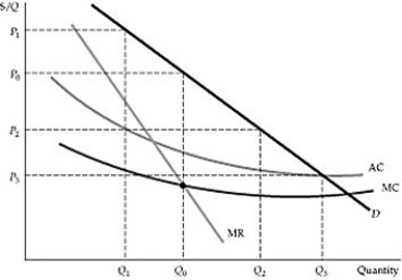   Figure 11.2.2 -Refer to Figure 11.2.2 above. If the firm chooses to charge the four prices shown on the figure instead of a single price, P<sub>0</sub>, the firm practices: A)  First degree price discrimination. B)  Second degree price discrimination. C)  Third degree price discrimination. D)  Perfect price discrimination.