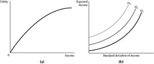   Figure 5.2.1 -Refer to Figure 5.2.1 above. Which of the two figures describes a risk averse individual? A)  The figure in panel (a)  B)  The figure in panel (b)  C)  Both figures D)  Neither figure