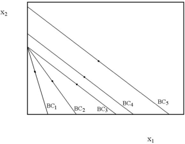 In the diagram below, Marvin's optimal consumption bundles are indicated for five different budget constraints. Sketch the Engel curve for Marvin. Next, use the diagram to sketch Marvin's demand curve for the good on the horizontal axis.  