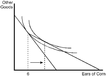 Sam's budget constraint would now exhibit a kink at 6 ears of corn due to the change in the price per ear for high-quantity purchases. From the following figure, we can see that Sam would buy more corn.  