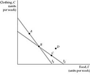   Figure 3.4.1 -Refer to Figure 3.4.1 above. The consumer chooses A on budget line I<sub>1</sub> and B on budget line I<sub>2</sub>. Which of the following statements is NOT true? A)  A is preferred to B. B)  B is preferred to C. C)  C is preferred to D. D)  A is preferred to C.