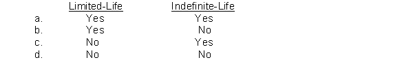 Which intangible assets are amortized?  