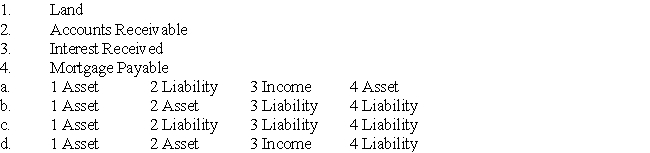 The correct classification for these ledger accounts is: