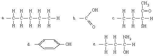 Which of the following groups is capable of only hydrophilic interactions?   A) A B) B C) C D) D E) E
