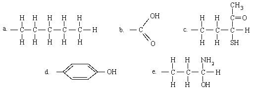 Which of the following groups is capable of only hydrophilic interactions?   A) A B) B C) C D) D E) E