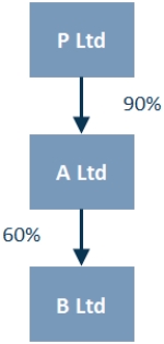 Consider the following economic entity structure:   The direct non-controlling interest (DNCI)  and indirect non-controlling interest (INCI)  are which of the following?   A)  I. B)  II. C)  III. D)  IV. 