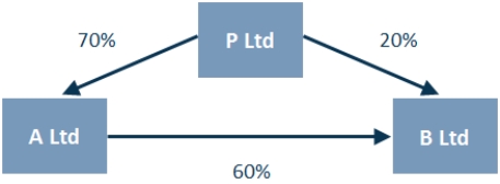 Consider the following economic entity structure.   The direct non-controlling interests (DNCI)  and indirect non-controlling interests (INCI)  are which of the following?   A)  I. B)  II. C)  III. D)  IV. 