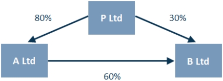 Consider the following economic entity structure.   The indirect NCI in B Ltd is the same group of shareholders as the: A)  direct NCI in B Ltd. B)  indirect NCI in A Ltd. C)  direct NCI in A Ltd. D)  shareholders in P Ltd. 