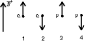 The diagram shows the spin angular momentum vectors of two electrons and two protons in the same external magnetic field. The field points upward in the diagram. Rank the situations according to the potential energy, least to greatest.   A)  1 and 3 tie, then 2 and 4 tie B)  2 and 3 tie, then 1 and 4 tie C)  1 and 2 tie, then 3 and 4 tie D)  3 and 4 tie, then 1 and 2 tie E)  all tie
