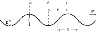 A sinusoidal wave is traveling toward the right as shown. Which letter correctly labels the amplitude of the wave?   A)  A B)  B C)  C D)  D E)  E