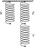 Three identical springs (X,Y,Z)  are arranged as shown. When a 4.0-kg mass is hung on X, the mass descends 3.0 cm. When a 6.0-kg mass is hung on Y, the mass descends:   A)  2.0 cm B)  4.0 cm C)  4.5 cm D)  6.0 cm E)  9.0 cm