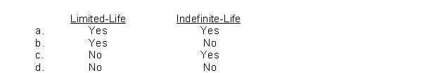 Which intangible assets are amortized?  