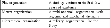 Match the organizational structure that you would find supporting the organization strategy of the following firms:   