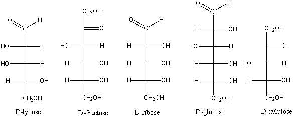 Which of the following is a ketohexose?   A)  D-lyxose B)  D-fructose C)  D-ribose D)  D-glucose E)  D-xylulose