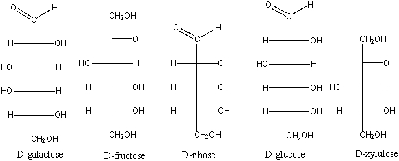 Which of the following is an aldopentose?   A)  D-galactose B)  D-fructose C)  D-ribose D)  D-glucose E)  D-xylulose